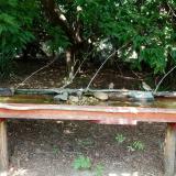 photo 2021-07-26 13-31-55