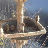 photo 2019-12-30 13-45-22