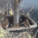 photo 2019-12-26 09-27-36