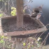 photo 2019-12-19 09-19-40