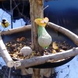 photo 2019-01-15 10-27-04