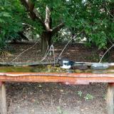 photo 2021-08-23 15-05-50