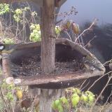 photo 2019-12-12 14-43-21