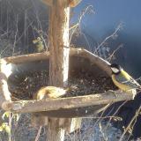 photo 2019-12-30 14-24-19