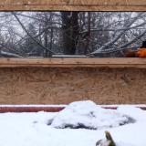 photo 2022-01-22 08-01-04