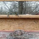 photo 2022-01-17 12-47-59