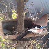 photo 2019-12-22 12-10-13