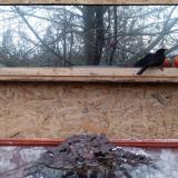 photo 2022-01-20 15-59-49