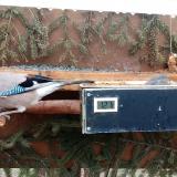 photo 2021-03-05 10-37-01