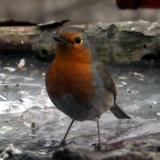 photo 2022-01-24 14-57-23 015