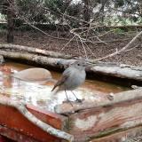 photo 2022-03-31 08-37-07 poszata