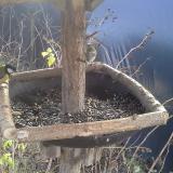 photo 2019-12-25 11-37-47