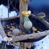 photo 2019-01-14 12-48-14