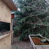 photo 2022-01-05 08-48-24