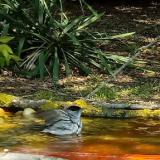 photo 2021-04-21 10-59-51 poszata