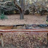 photo 2021-10-26 07-56-03