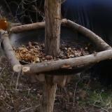 photo 2019-01-04 12-43-46