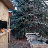 photo 2021-12-22 09-30-17