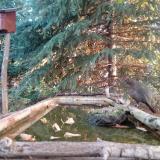 photo 2023-10-14 07-51-16