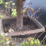 photo 2019-12-09 12-43-27