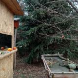 photo 2021-12-24 10-03-12