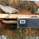 photo 2021-02-12 15-36-41