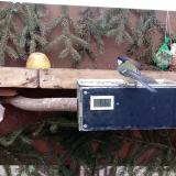 photo 2021-02-06 14-59-37