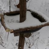 photo 2019-01-05 11-56-27