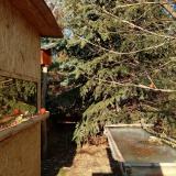 photo 2022-01-12 13-20-48