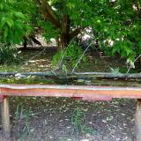 photo 2021-05-26 14-35-33