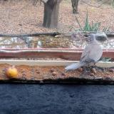 photo 2021-11-07 13-51-21