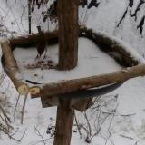 photo 2019-01-05 08-55-36