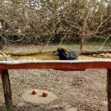 photo 2021-03-12 10-34-04