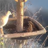 photo 2019-12-31 15-24-56