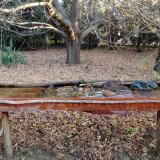 photo 2021-10-26 08-12-33