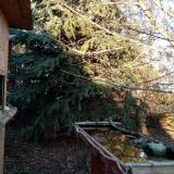 photo 2021-12-13 14-21-15