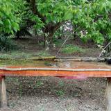 photo 2021-05-07 11-58-16