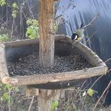 photo 2019-12-17 12-34-49