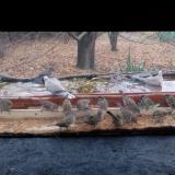 photo 2021-11-22 09-36-23