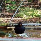 photo 2021-05-08 06-59-13 rigo