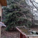 photo 2021-12-14 15-15-29