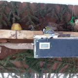 photo 2021-02-11 08-53-20