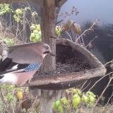 photo 2019-12-12 14-51-13