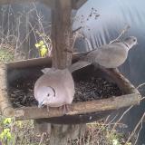 photo 2019-12-25 12-51-36