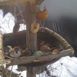 photo 2019-01-31 09-06-18