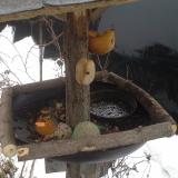 photo 2019-01-28 15-20-50