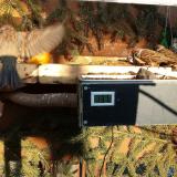 photo 2021-02-15 15-46-25