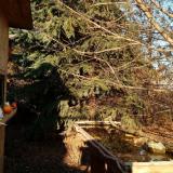 photo 2021-12-14 13-50-46