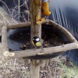 photo 2019-02-08 12-54-05