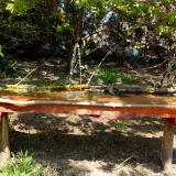 photo 2021-04-24 12-22-32